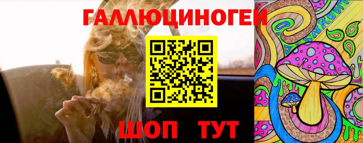 Галлюциногенные грибы Psilocybine cubensis Сокол